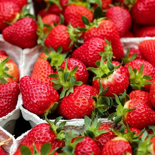 fraises
