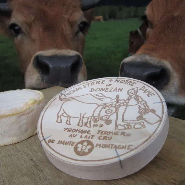Vaches tarines et fromage de l'Abbaye