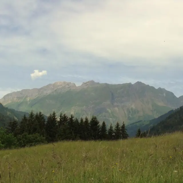 Porte des Aravis