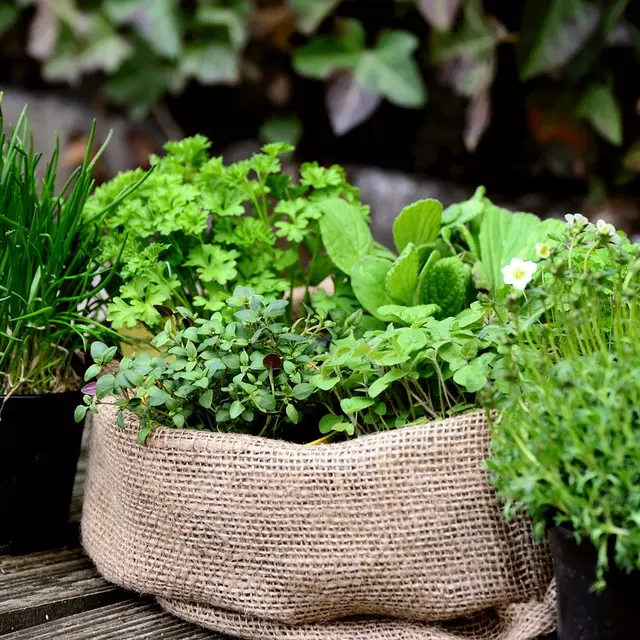 Marché de printemps et brocante_Châteauneuf-de-Galaure
