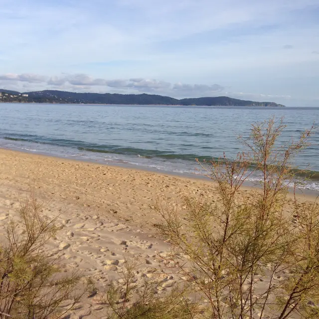 Plage du Parc
