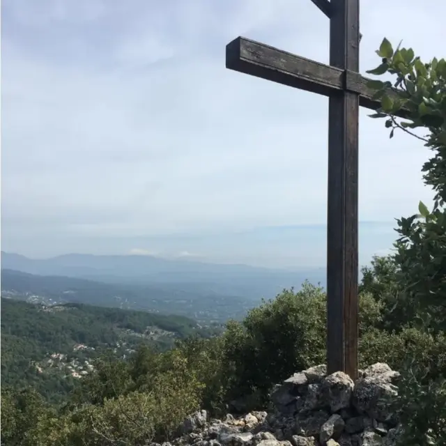 Bois communal de la Pigne_Seillans