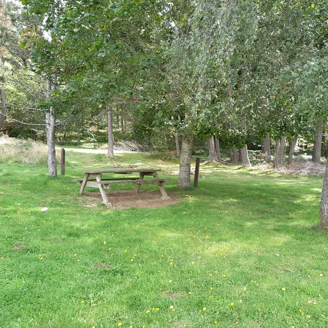 Table de pique-nique