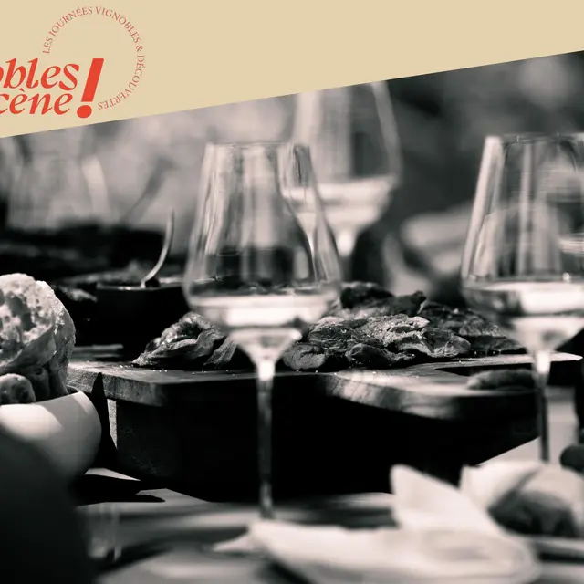 Brasero dans les vignes du Domaine Pradelle_Chanos-Curson