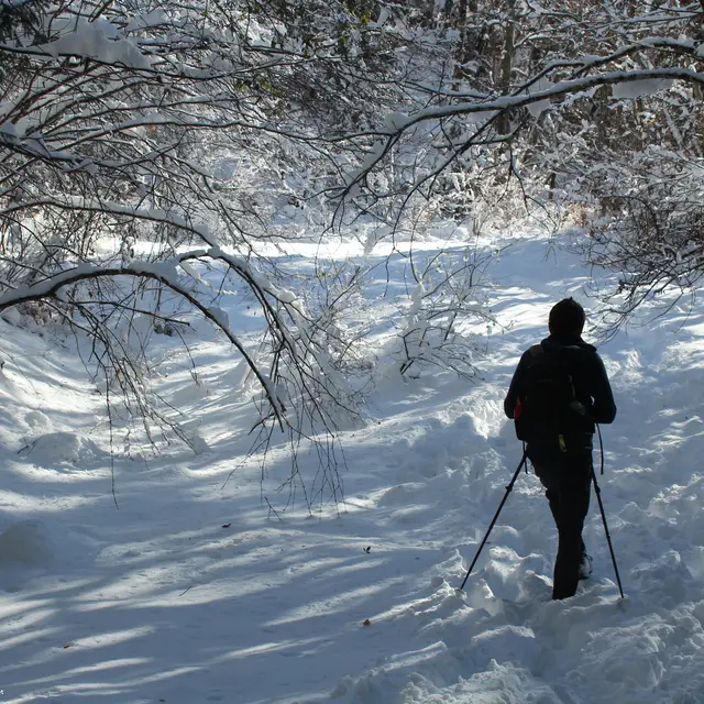 Simon Pochet : accompagnateur en montagne et créateur sonore_Saint-Joseph-de-Rivière