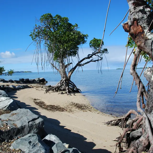 Plage de Tanguy