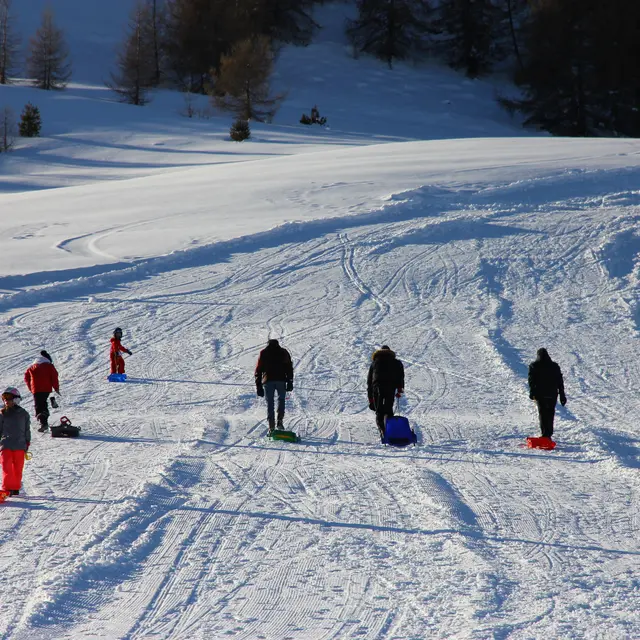 Luge Golf
