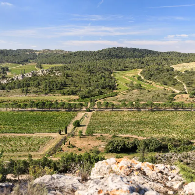 Domaine de la Vallongue