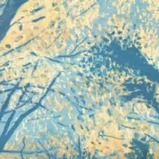 Exposition balade à Saoû_Allex