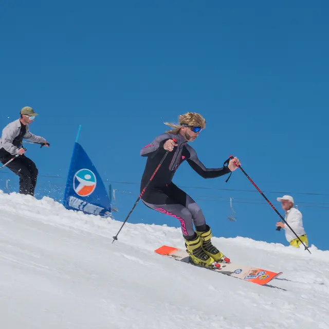 Monoski