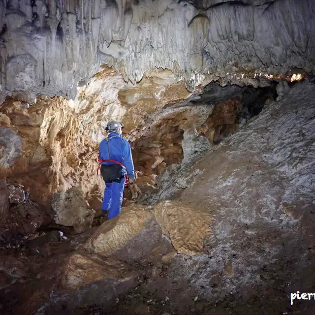 Activité nature