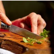 Journée de découverte des plantes sauvages et leurs nombreuses vertus au fil des saisons_Entremont-le-Vieux