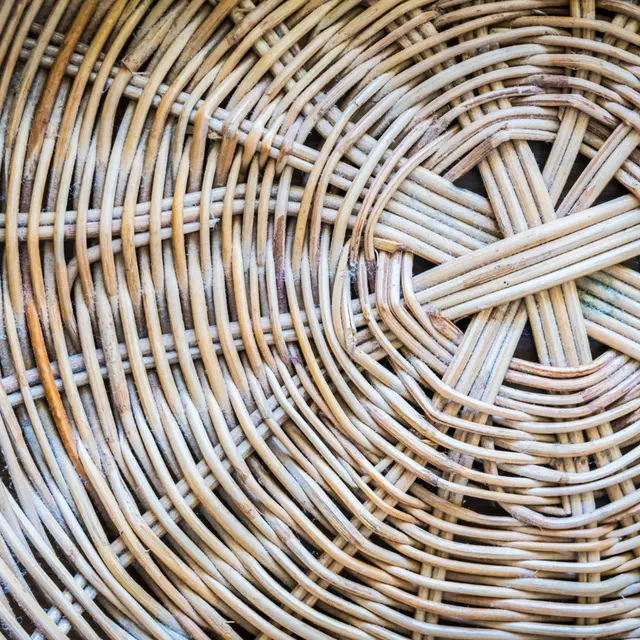 Stage de vannerie_La Terrasse