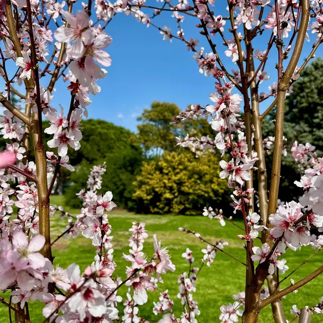 Parc le Grand Jardin