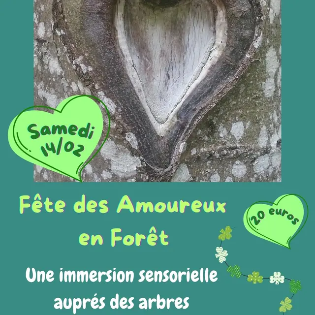 Fête des Amoureux en forêt
