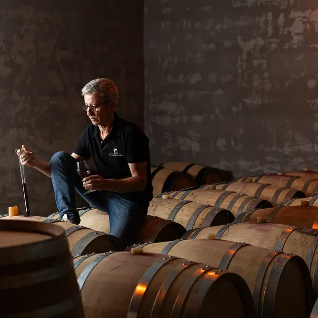 Visite guidée de la Cuverie, du chai, dégustation sur cuve et plateau apéritif_Mazan