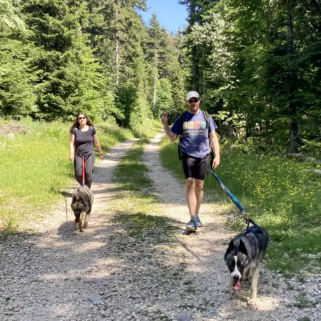 Initiation Cani-randonnée