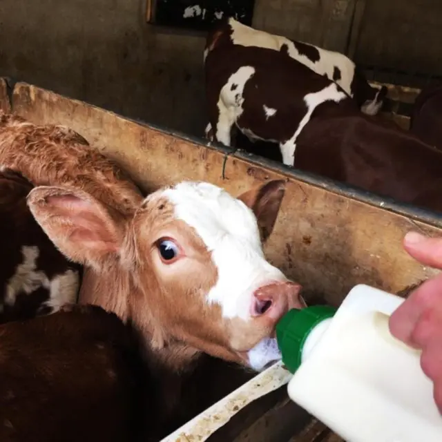 Découverte de la ferme_Isola 2000