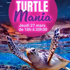 Nocturne Turtle Mania_Nouméa