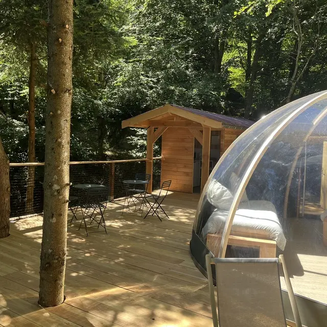 Bulle dans les arbres_Chazelles-sur-Lavieu