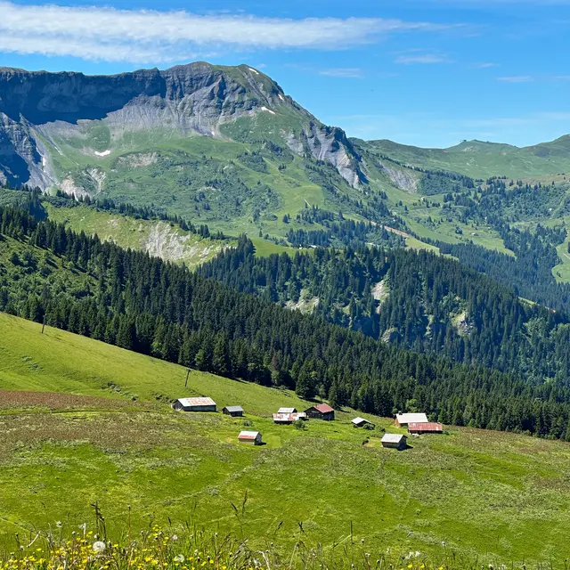 Les chalets d'Hermance au départ du Mont d'Arbois