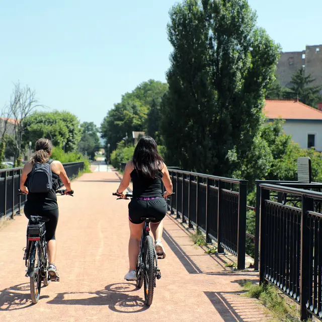 Balade à vélo électrique ... La Loire et son héritage_Veauche