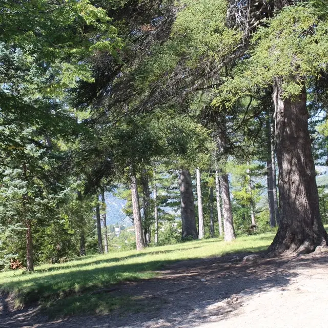 Parc Forestier Brusquet