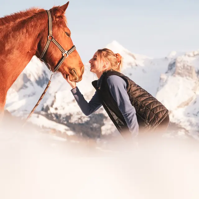 Médiation équine au Grand-Bornand