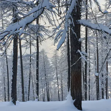 Dromzeé Anne-Claire - Accompagnatrice en montagne / Conteuse_Le Monêtier-les-Bains