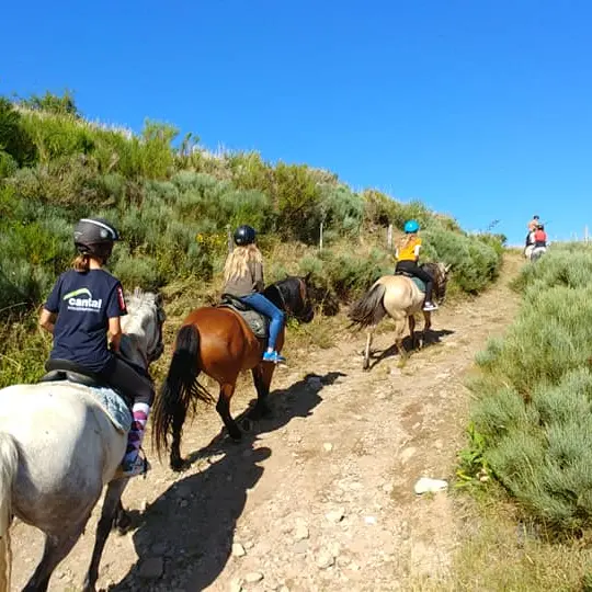 Balade à cheval à la Ferme équestre de la Planèze_Ussel