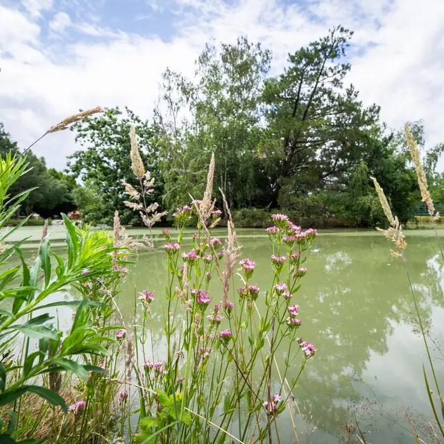 Visite | Le Parc de Clairefont, Castelsarrasin