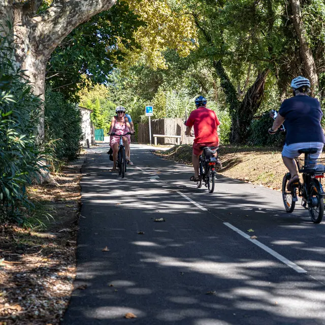 Piste cyclable Grimaud/Saint-Tropez
