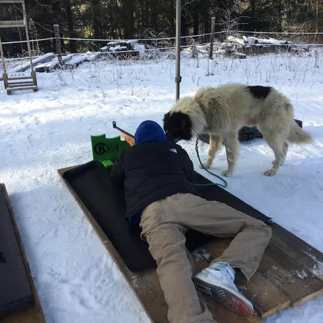 Cani-biathlon