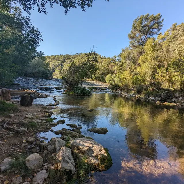 La cueillette de Lisa - Correns