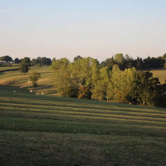 Circuit pédestre La Goutte Pillot