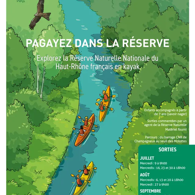 Sorties nature en kayak dans la réserve naturelle_Murs-et-Gélignieux