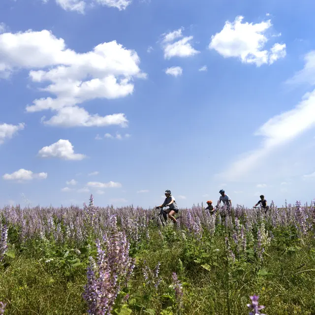 Circuit Provence Verdon VTT 37
