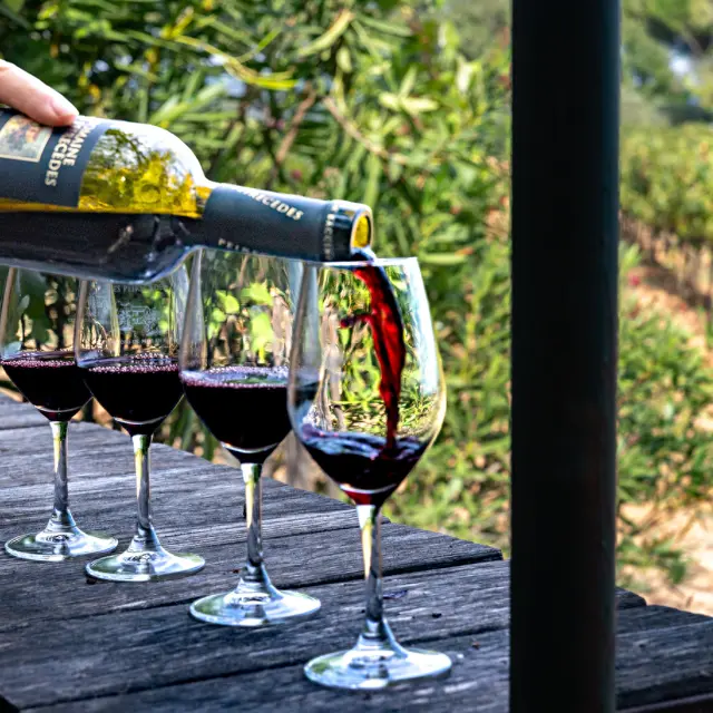 Expérience œnophile au Domaine de Peirecèdes_Cuers