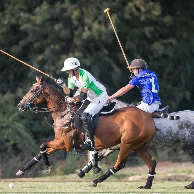 Haras de Gassin - Golf cup_Gassin