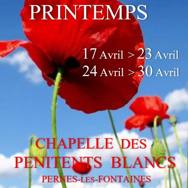 Salon de printemps - Expo 1_Pernes-les-Fontaines