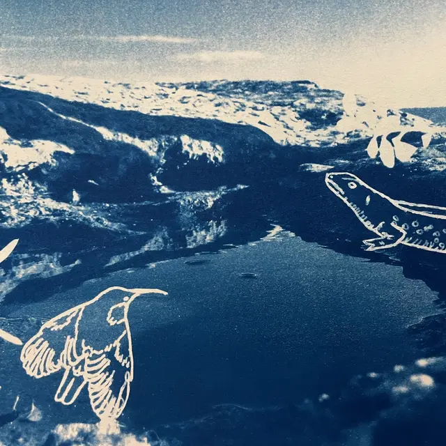 Atelier créatif : Découverte Nature et Cyanotype_Saint-Rémy-de-Provence