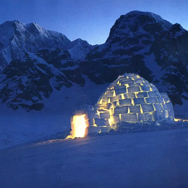 Igloo X Mulatier