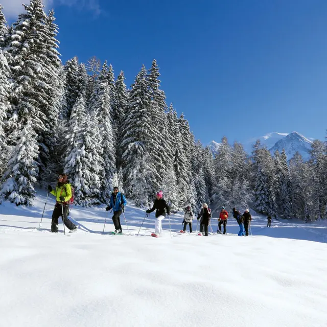 Groupe- Compagnie des Guides