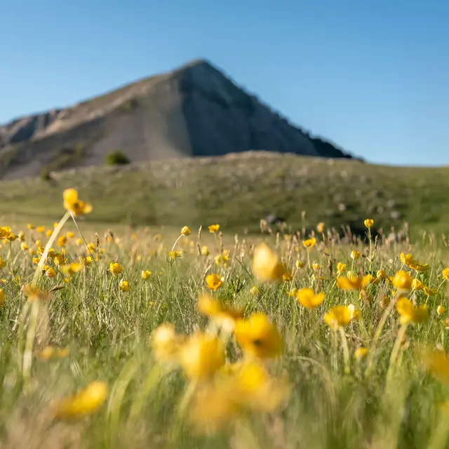 GR 69 La Routo Etape Seyne Le laverqCol de Bernardez