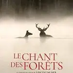 Le Cigalon : cinéma en plein air à Saint Martin de la Brasque : Le Chant des forêts_Saint-Martin-de-la-Brasque