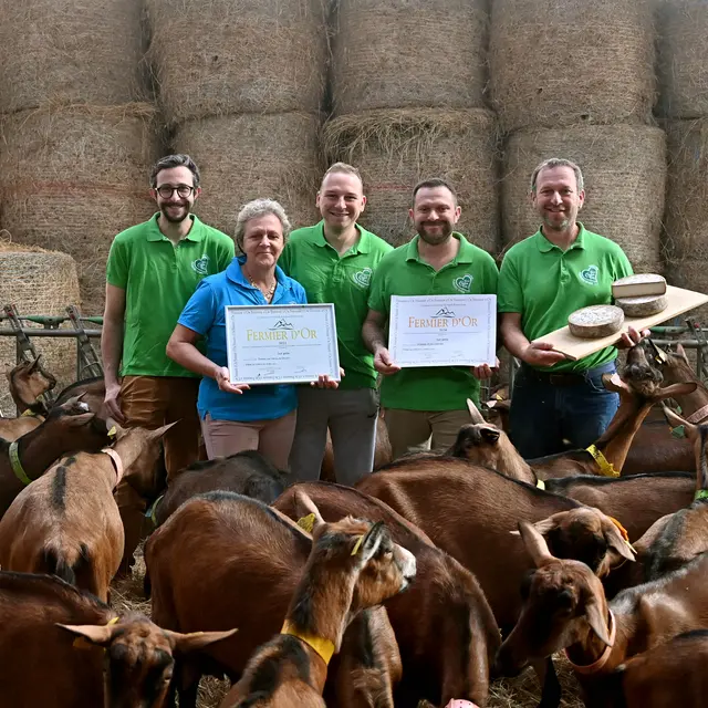 De Ferme en Ferme - Ferme Bory Bayle Coeur du Forez_Saint-Romain-le-Puy