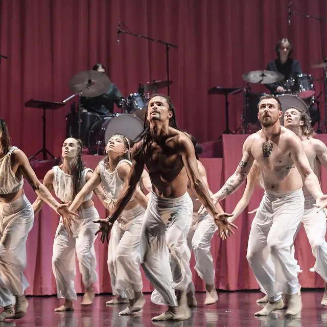 STEPHANIE LAKE COMPANY - 'Manifesto_Cannes