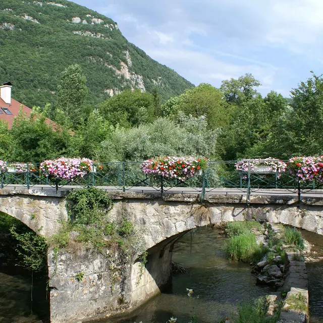 Doussard Pont de Verthier