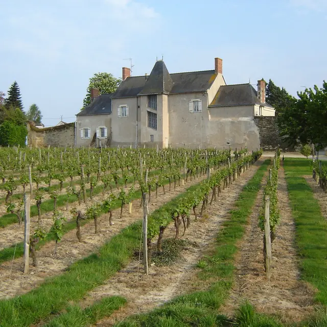 Domaine de Pied Flond