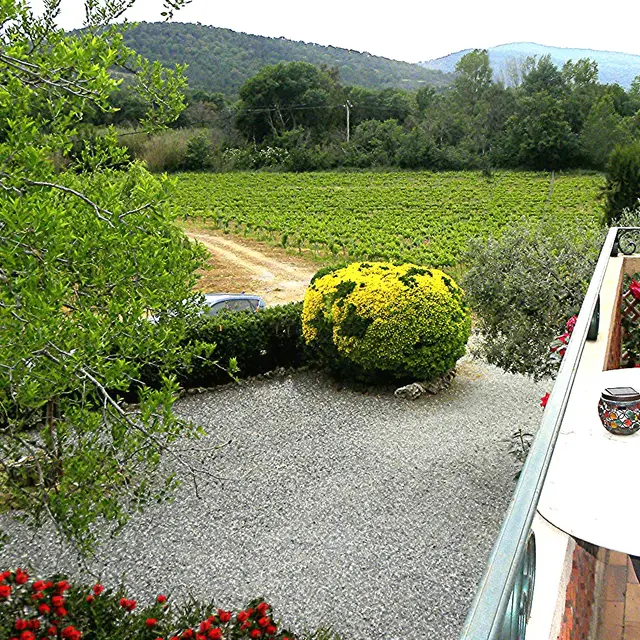 Vue depuis le balcon Sud